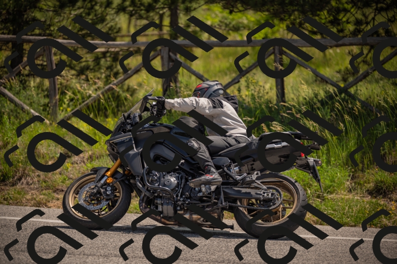 20250607113340-_Z627433_am_