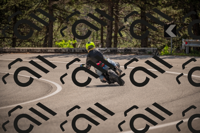 20250607113346-_Z627438_am_