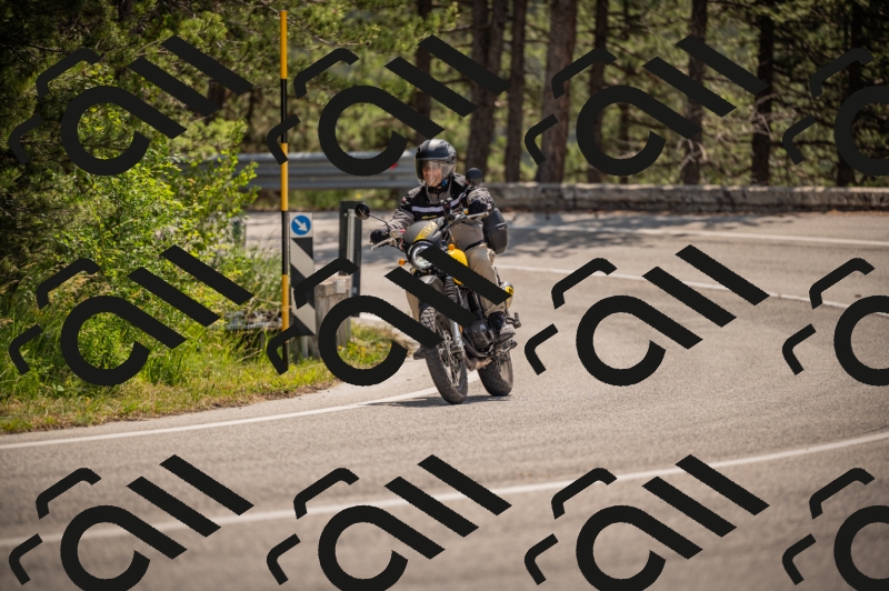 20250607113421-_Z627441_am_