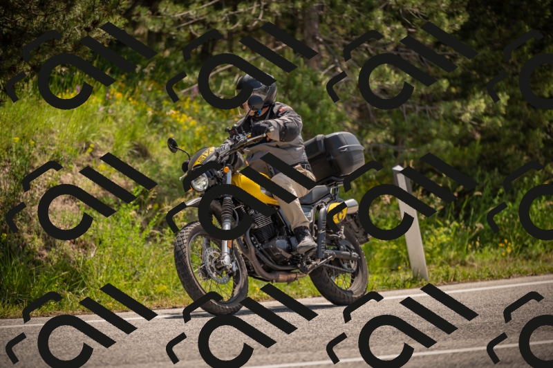 20250607113422-_Z627442_am_