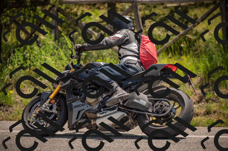 20250607113449-_Z627449_am_