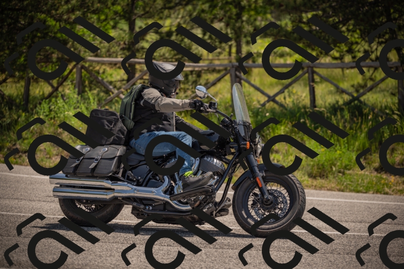 20250607113456-_Z627452_am_