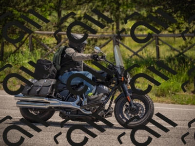 20250607113456-_Z627452_am_