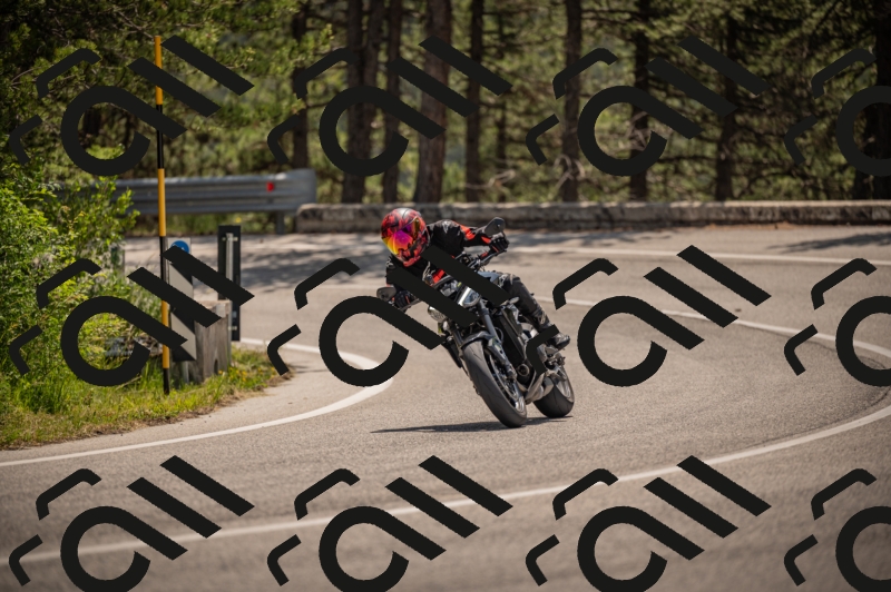 20250607113518-_Z627458_am_