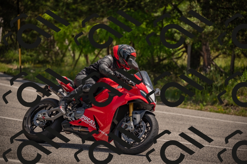 20250607113936-_Z627490_am_