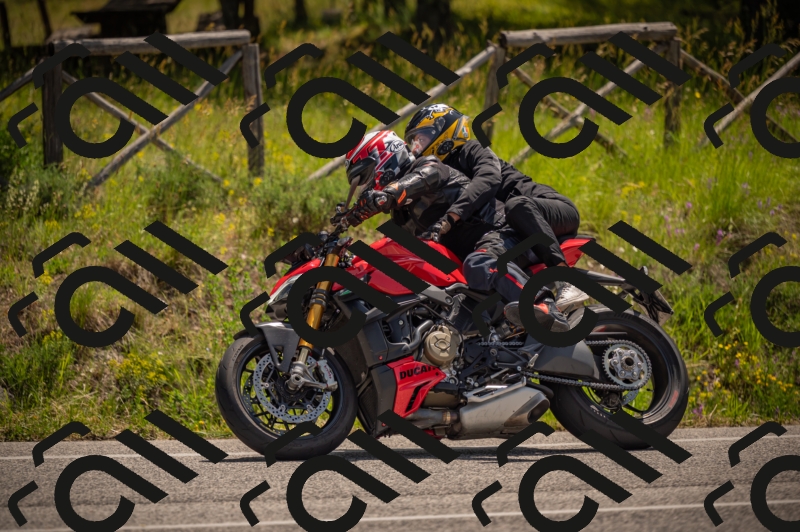 20250607114113-_Z627504_am_