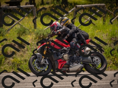 20250607114113-_Z627504_am_