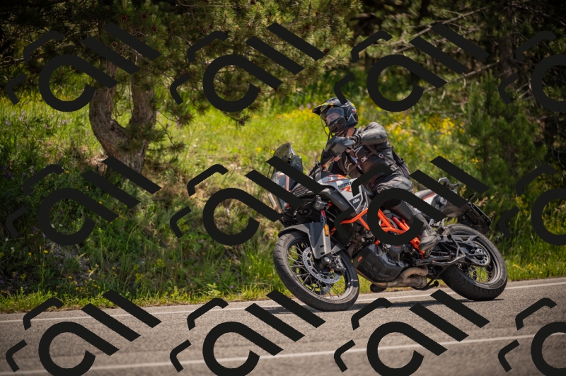 20250607114226-_Z627509_am_