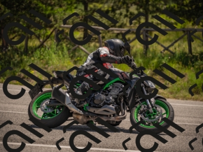 20250607114420-_Z627518_am_