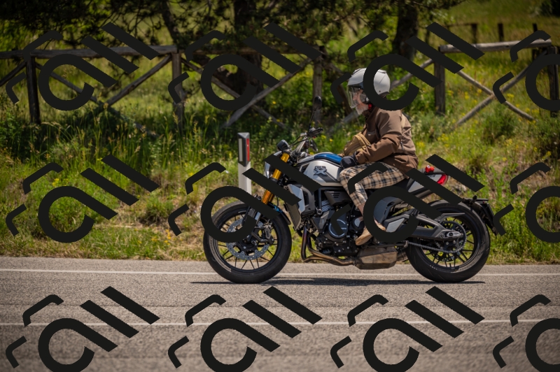 20250607115050-_Z627538_am_