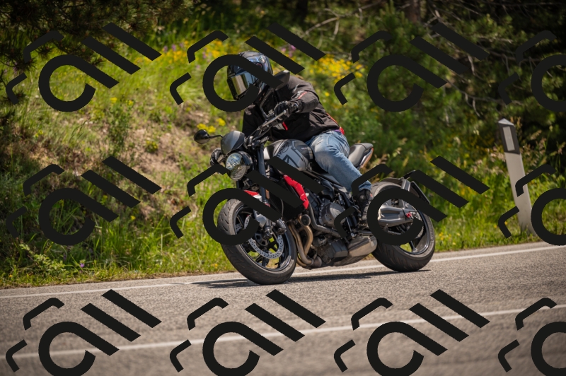 20250607115442-_Z627547_am_