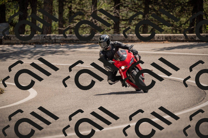 20250607115453-_Z627550_am_