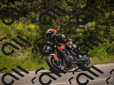 20250607115613-_Z627575_am_