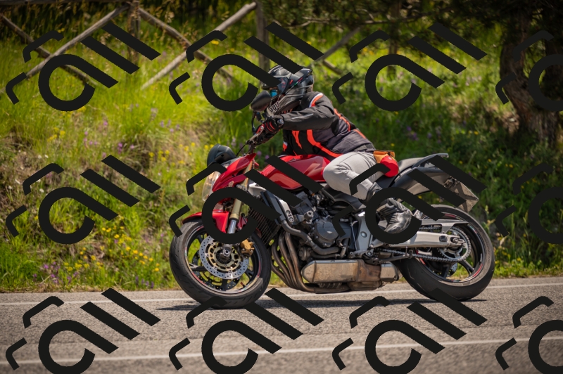 20250607120011-_Z627619_am_