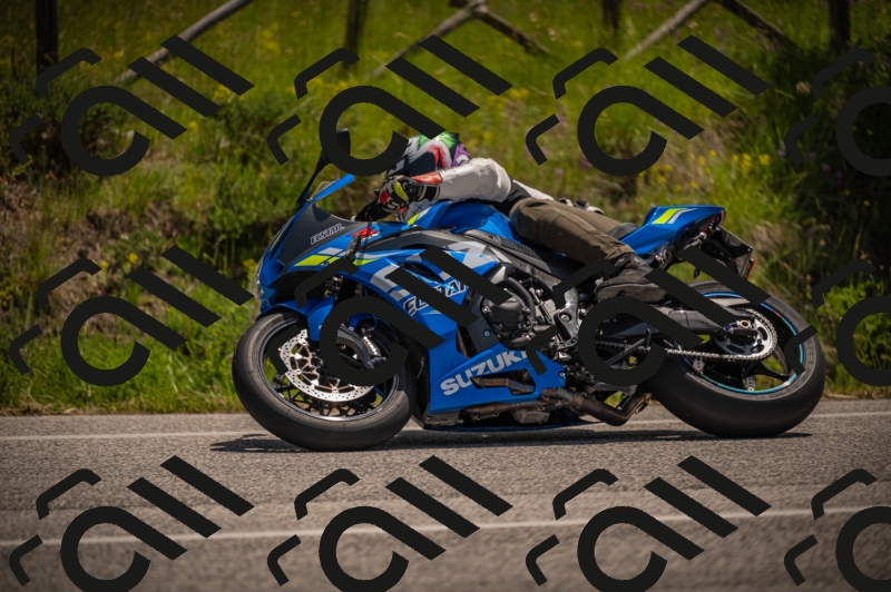 20250607120151-_Z627638_am_