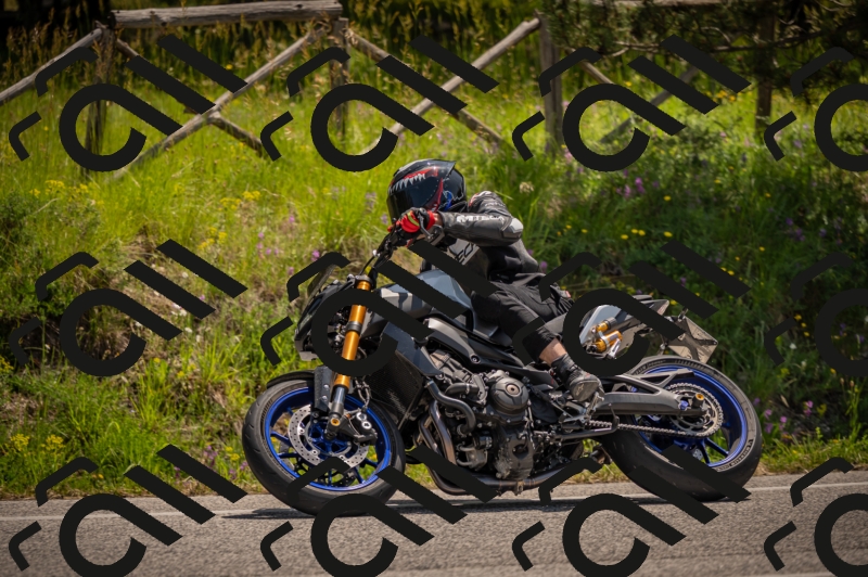 20250607120152-_Z627640_am_