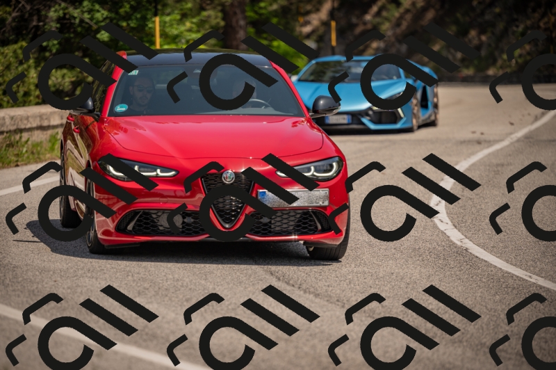 20250607120202-_Z627648_am_