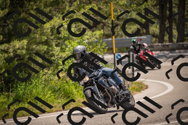 20250607120223-_Z627666_am_