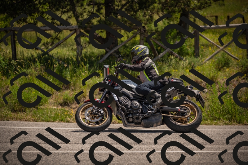 20250607120241-_Z627691_am_