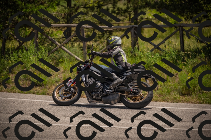 20250607120241-_Z627692_am_