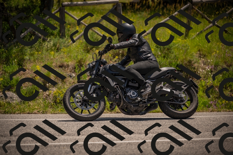 20250607120306-_Z627695_am_