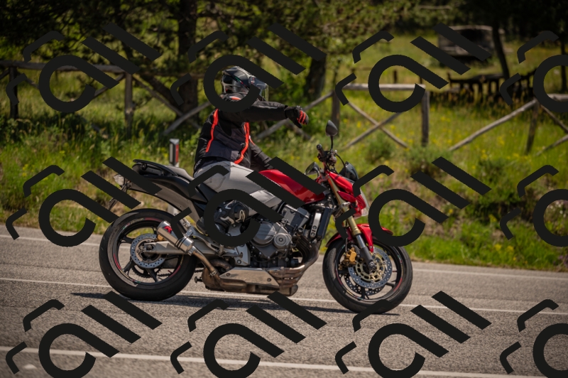 20250607120721-_Z627736_am_