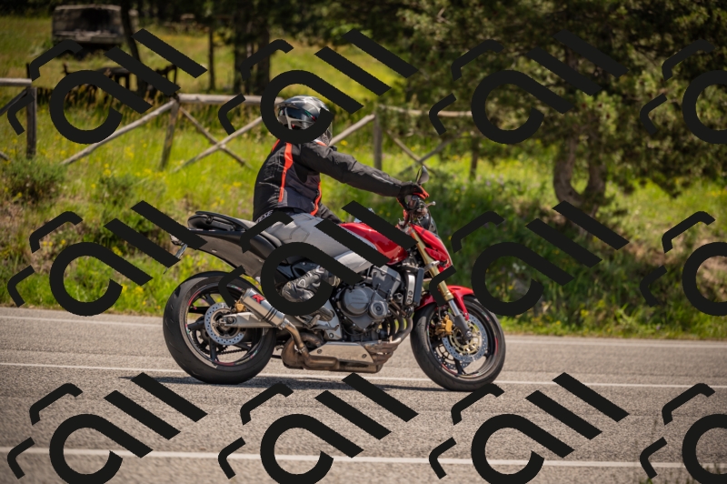 20250607120721-_Z627737_am_