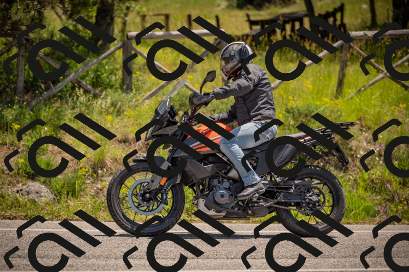 20250607120844-_Z627740_am_