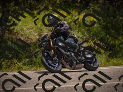 20250607120919-_Z627747_am_