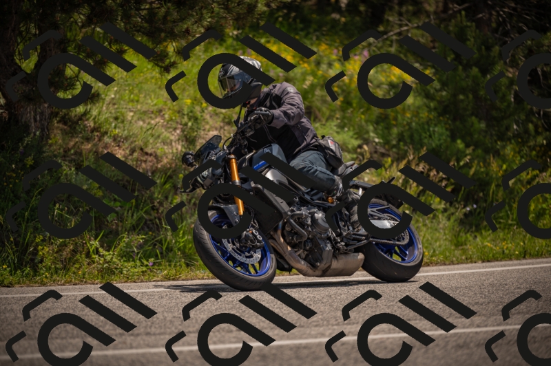 20250607120919-_Z627747_am_