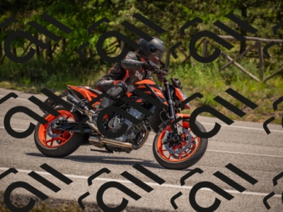 20250607121144-_Z627788_am_