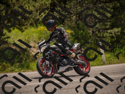 20250607121534-_Z627836_am_