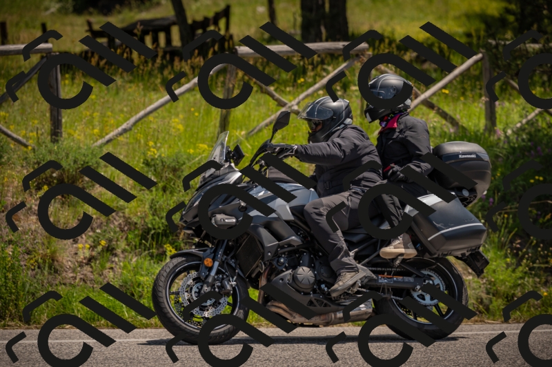 20250607122041-_Z627848_am_