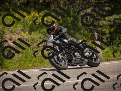 20250607122358-_Z627870_am_