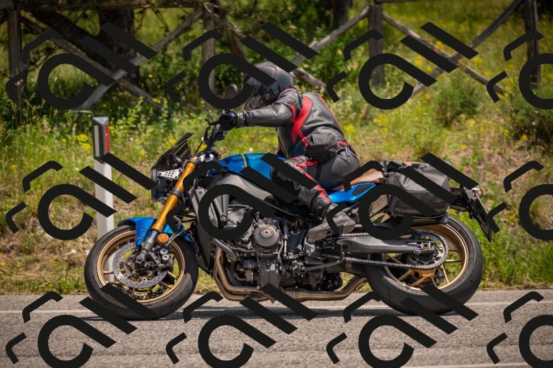 20250607124027-_Z627999_am_