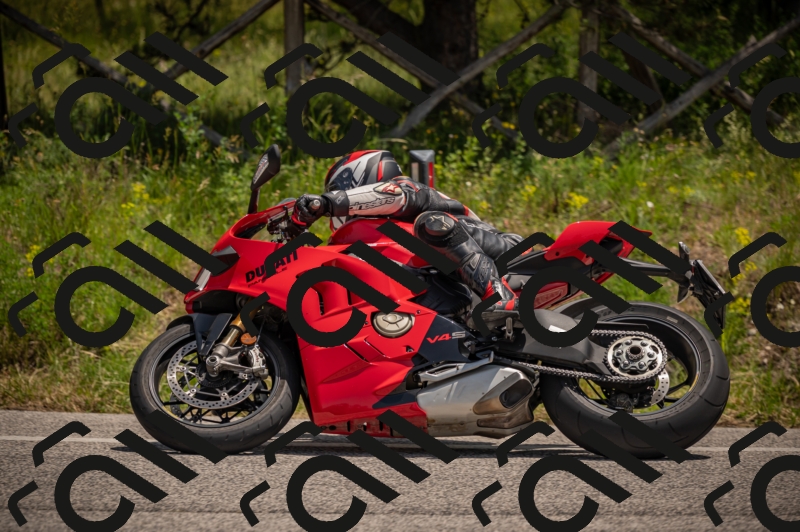 20250607124232-_Z628019_am_