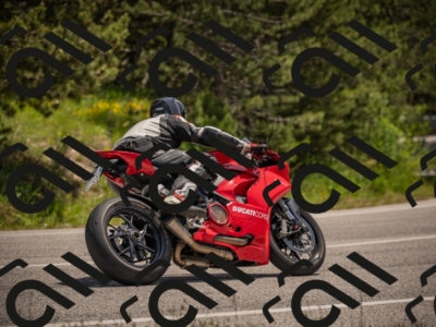 20250607124618-_Z628037_am_