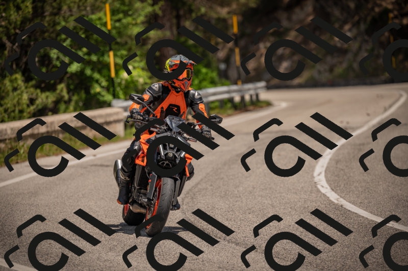 20250607124702-_Z628038_am_