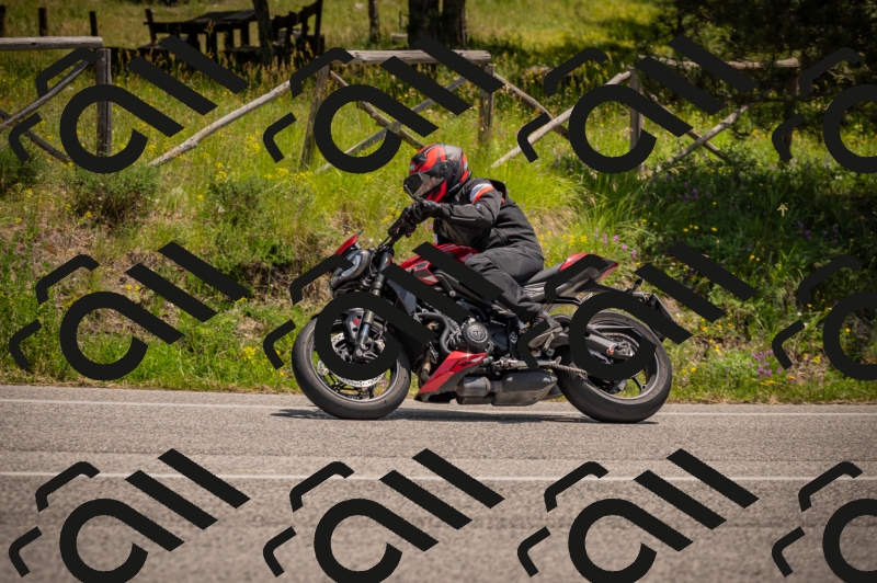 20250607125150-_Z628042_am_