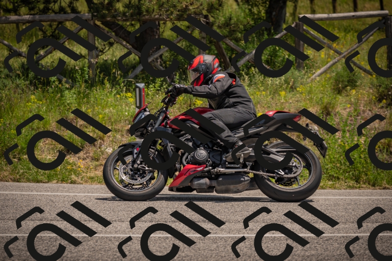 20250607125150-_Z628043_am_