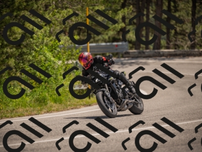 20250607125154-_Z628044_am_