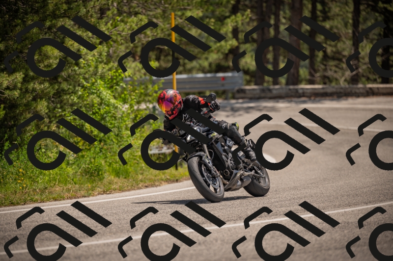 20250607125154-_Z628044_am_