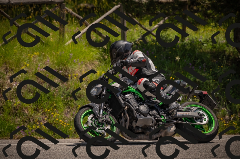 20250607125158-_Z628049_am_