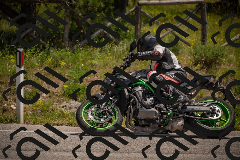 20250607125158-_Z628050_am_