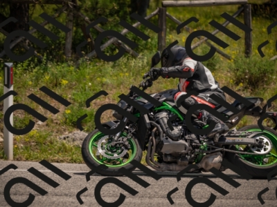 20250607125158-_Z628050_am_