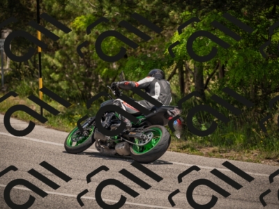 20250607125159-_Z628051_am_