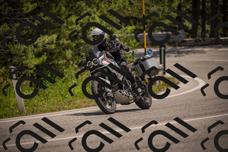 20250607125239-_Z628052_am_