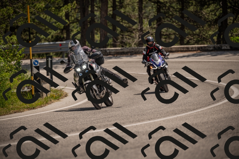 20250607125258-_Z628058_am_