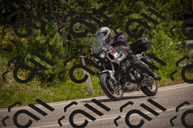 20250607125259-_Z628059_am_