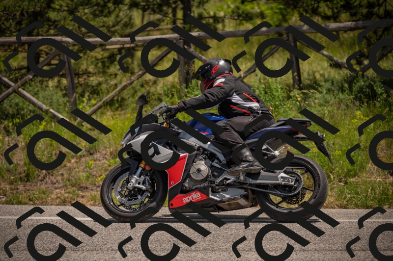 20250607125301-_Z628064_am_